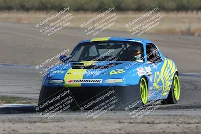 media/Oct-21-2023-Speed Ventures (Sat) [[ddf75163c5]]/Green/Grapvine/